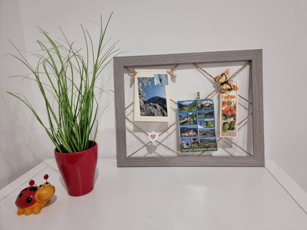 Apartmaji Ribic Ljubno المظهر الخارجي الصورة